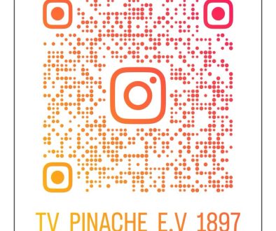 TVPinache-Instagram