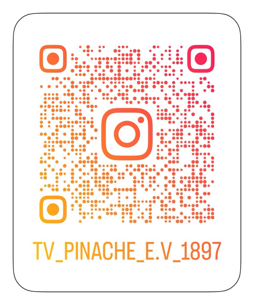 TVPinache-Instagram