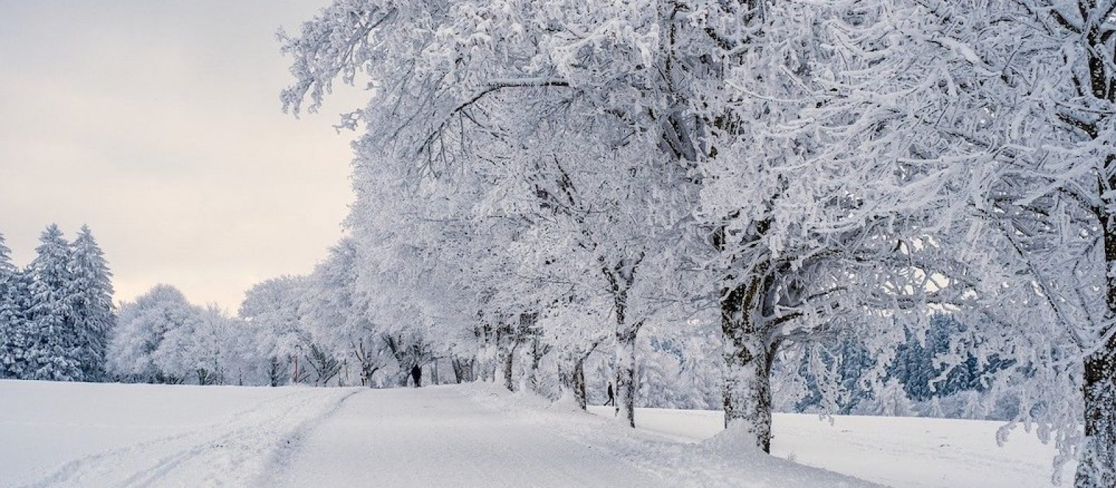 WinterWandern-hro
