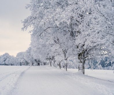 WinterWandern-hro